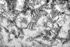 M,3m. | surfactant M,3m. | surfactant